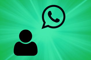 Whatsapp中文版：畅享免费通讯